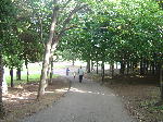 森林公園３