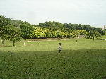 森林公園４