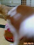 29