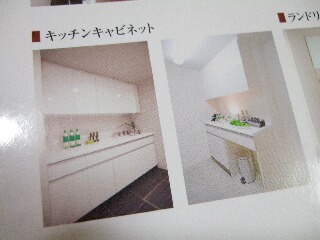 2007_0311fine0188.JPG