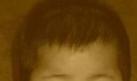 2006_0311fine0212.JPG