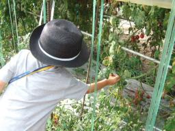 2006_0903fine0141.JPG
