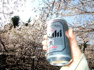 桜に乾杯