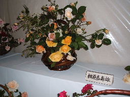 相原父さんのアレンジ