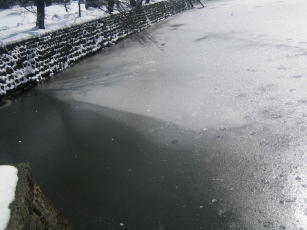 IMG_8970_1_1.JPG