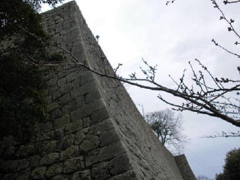 CIMG3028_1_1_1_1_1_1.JPG