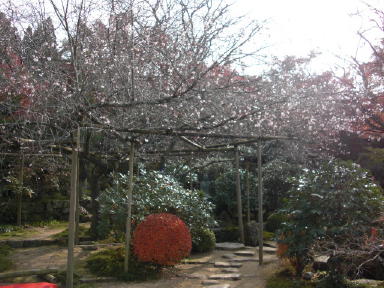CIMG8166_1_1.JPG