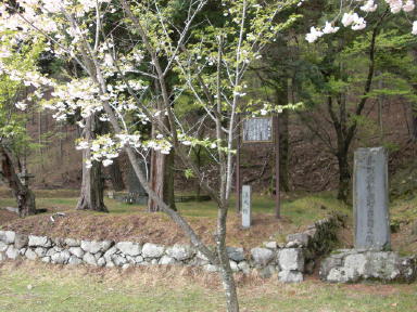 CIMG3743_1_1.JPG