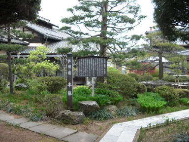 CIMG3592_1_1.JPG