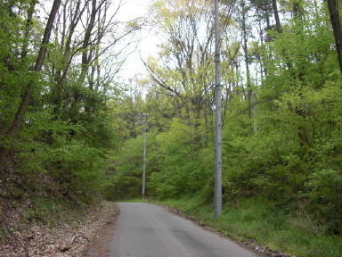 CIMG3556_1_1.JPG