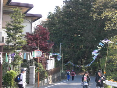 CIMG3774_1_1.JPG