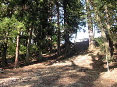 CIMG3779_1_2.JPG