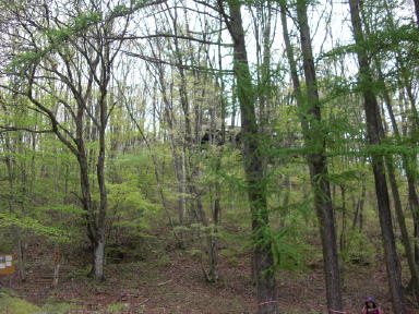 CIMG3618_1_1.JPG