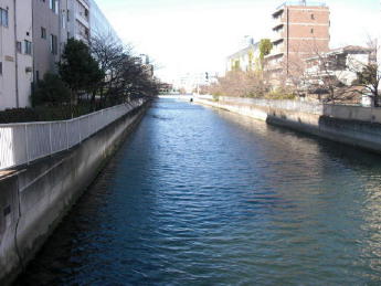 CIMG2846_1_1_1_1_1_1.JPG