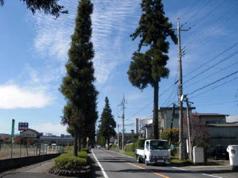 CIMG2128_1_1_1_1_1_1.JPG