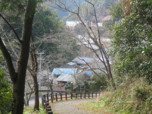 峠から