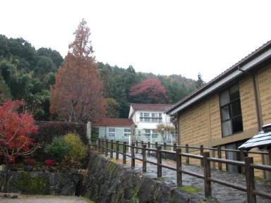 CIMG4876_1_1.JPG