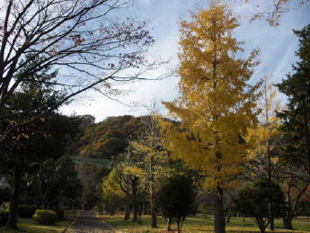 CIMG2550_1_1_1_1_1_1_1.JPG