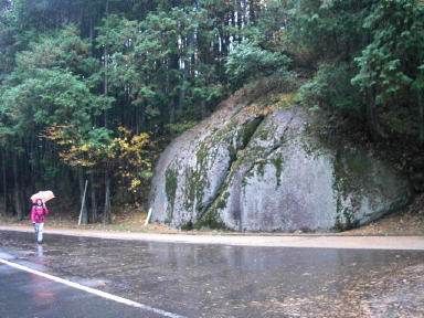 CIMG4889_1_1.JPG