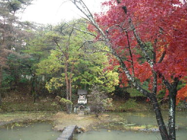 CIMG4898_1_1.JPG