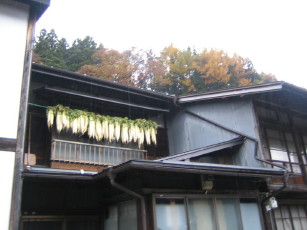 奈良井の大根干し