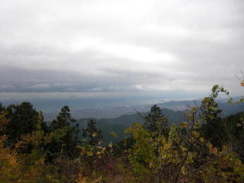 CIMG2312_1_1_1_1_1_1.JPG