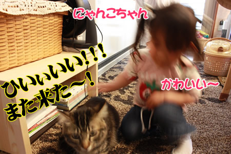 カンベンしてくれ