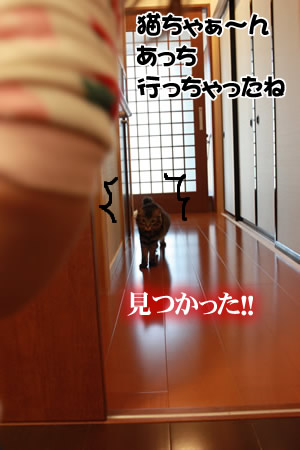 たまこの魔の手が・・・