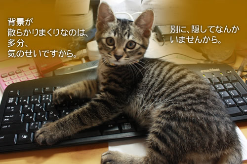 キーボードの上にて