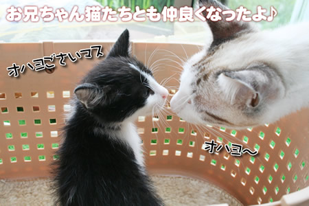 銀ちゃん、気になるウウウ～～