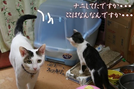 にいさんの秘密の空間？