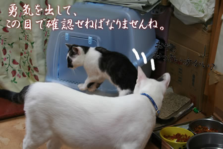 僕もついにオトナに・・・