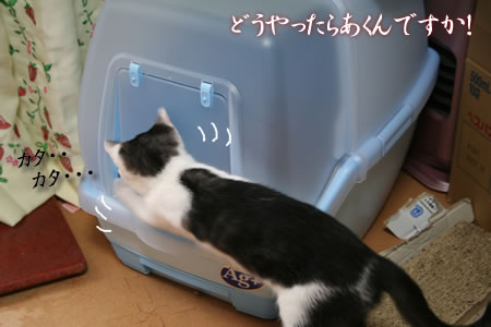 入り方がわからない