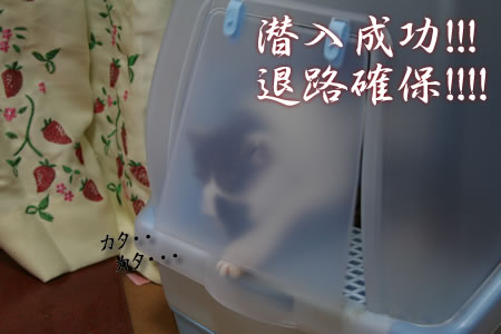 進入・・・