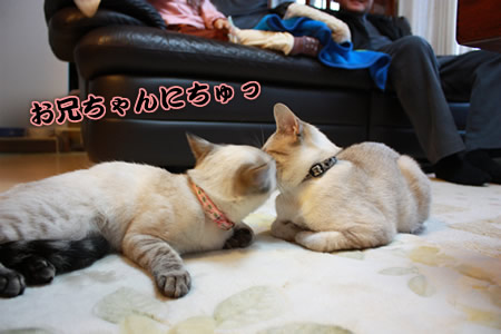 こっちでもちゅう