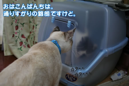 ちょっと近くを通ったので