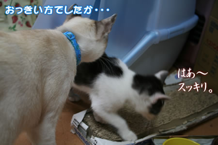 おつかれ～