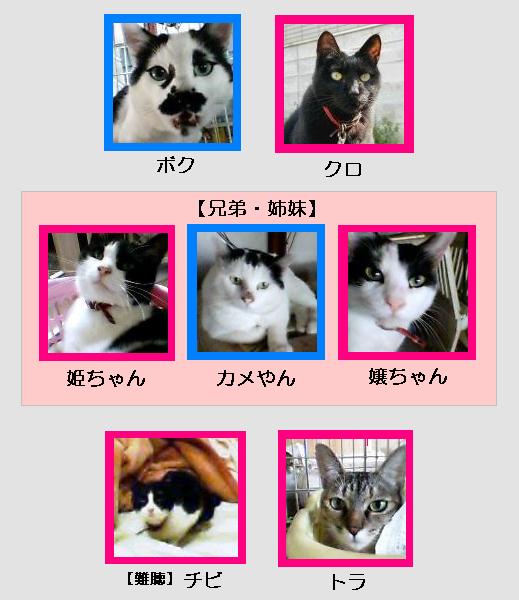 猫舎一門
