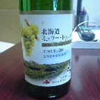 今日の２本目