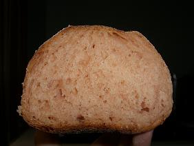 トマジュー酵母