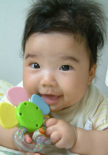 9/11ハチの歯固め