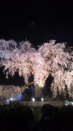 京都２
