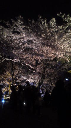 京都３