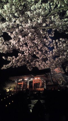 京都４