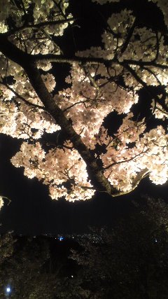 京都５