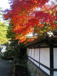 南禅寺。