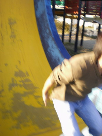 名称：ふりーふぉーる