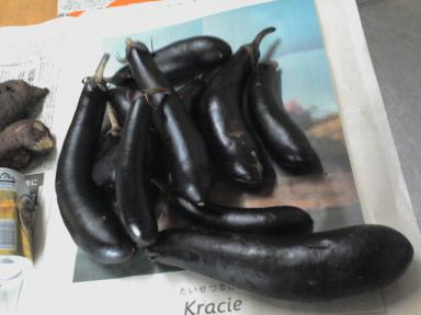 バカデカさつまいもと大量のナスビ