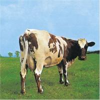 Atom Heart Mother PINK FLOYD （１９７０）
