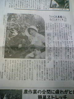 キュウリと格闘する榊原郁恵。
